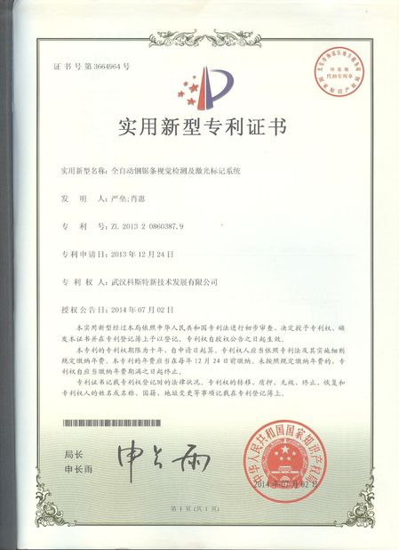 China Wuhan Questt ASIA Technology Co., Ltd. Certificações